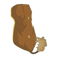 Achat De Kamas Dofus