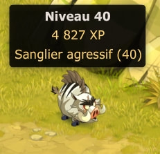 Achat De Kamas