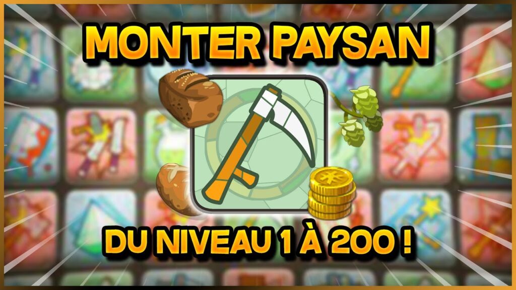 Achat De Kamas Dofus